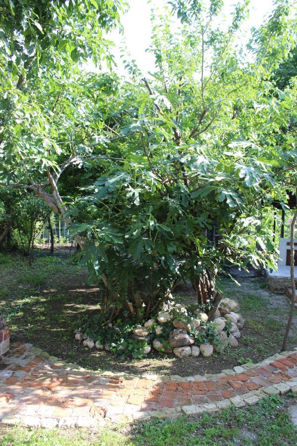 Guest House Meri Poppins Dedoplis Tskaro Экстерьер фото