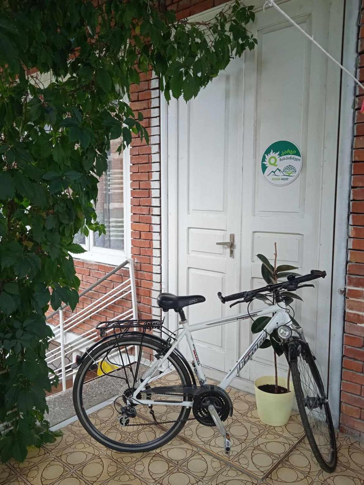 Guest House Meri Poppins Dedoplis Tskaro Экстерьер фото