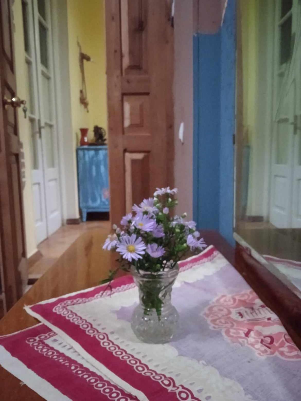 Guest House Meri Poppins Dedoplis Tskaro Экстерьер фото